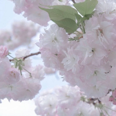 永嘉FurryQQ群介绍